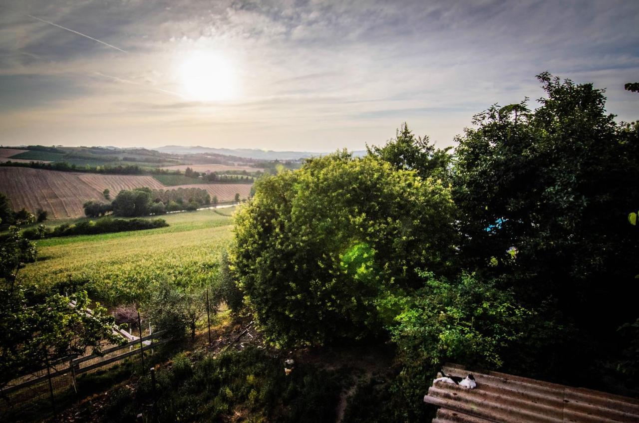Tenuta San Rocco Conzano エクステリア 写真
